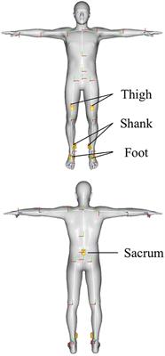 Indoor vs. Outdoor Walking: Does It Make Any Difference in Joint Angle Depending on Road Surface?